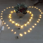 Lampada decorativa fata calda a 20 LED in stile adolescente per Natale, matrimonio, camera da letto, Rose