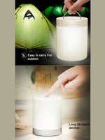 con luce LED e maniglia, supporto AUX IN e risposta in vivavoce e scheda TF, 388