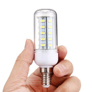Lampadina LED a mais E14 3,5W 36 LED SMD 5730