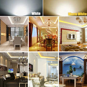 Luce a mais LED dimmerabile E14 64 LED 220V