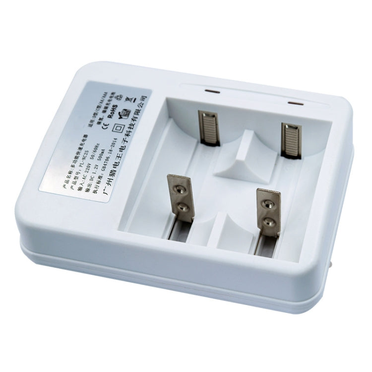 Caricabatterie 220V 2 slot per batterie AA, AAA, C e D