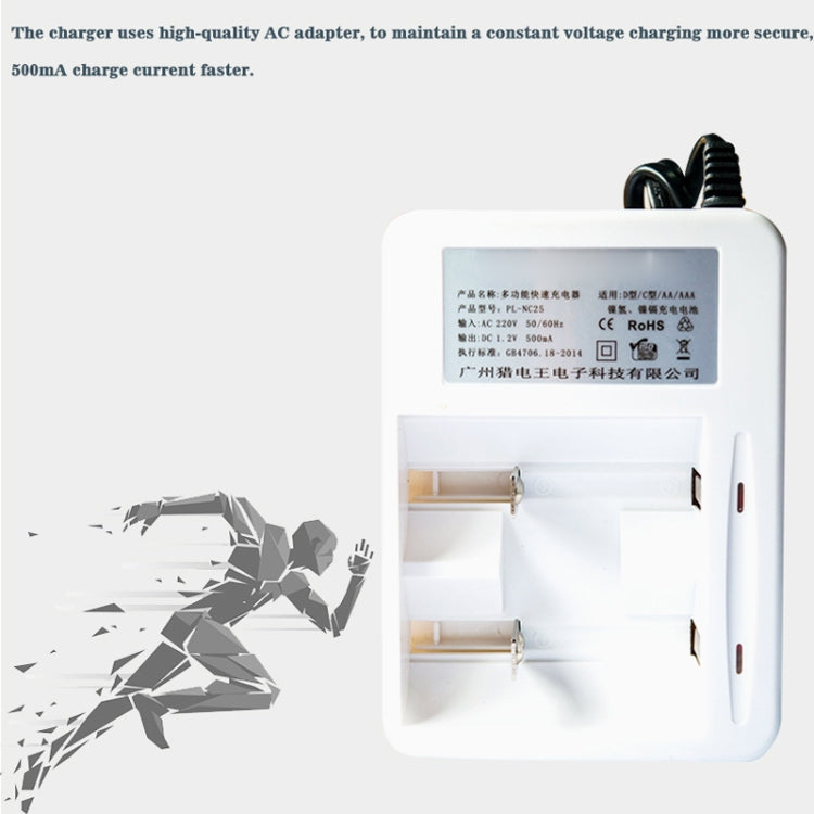 Caricabatterie 220V 2 slot per batterie AA, AAA, C e D