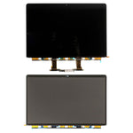 Schermo LCD per MacBook Pro 15,4 pollici A1990 (2018), A1990 (2018)