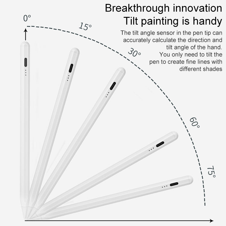 Stilo capacitivo sensibile alla pressione inclinabile anti-errore magnetico per iPad