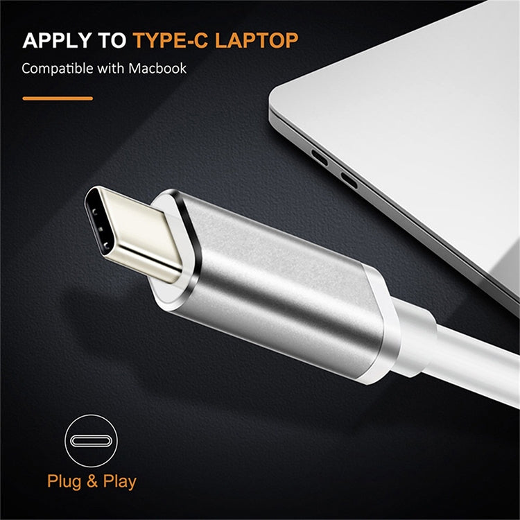 Convertitore HD USB-C / Type-C 3.1 maschio a DP femmina, lunghezza: 12 cm