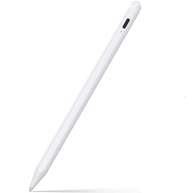 Penna stilo capacitiva magnetica per iPad