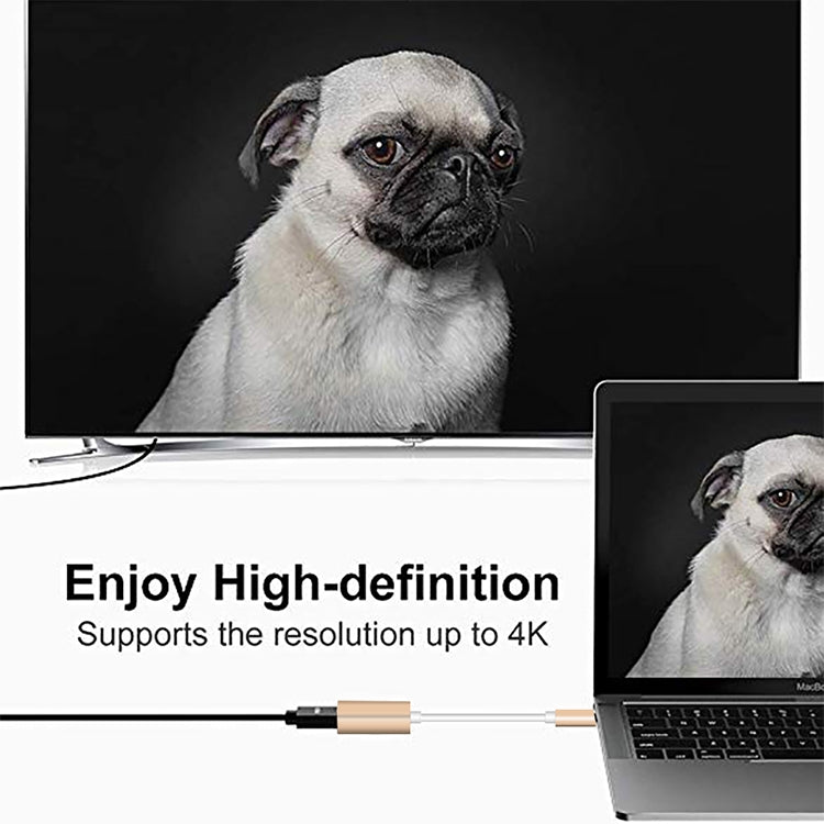 Convertitore USB-C a Mini DisplayPort 4K