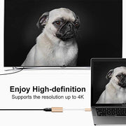 Convertitore USB-C a Mini DisplayPort 4K