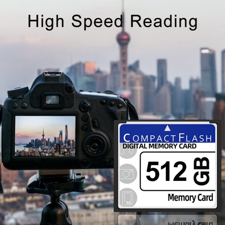 Scheda Compact Flash da 512 MB, 512MB