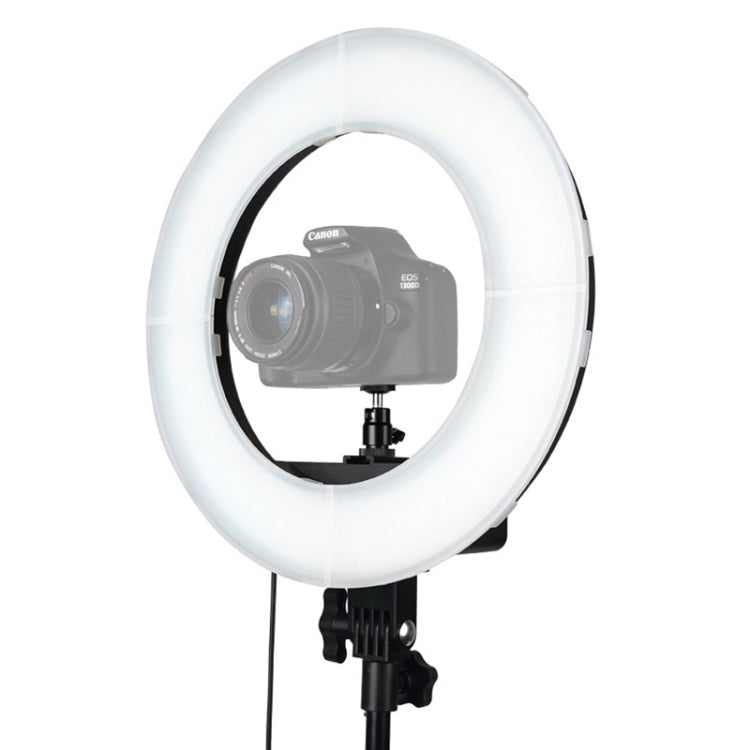 Luce ad anello LED 12 pollici con autoscatto per fotografia