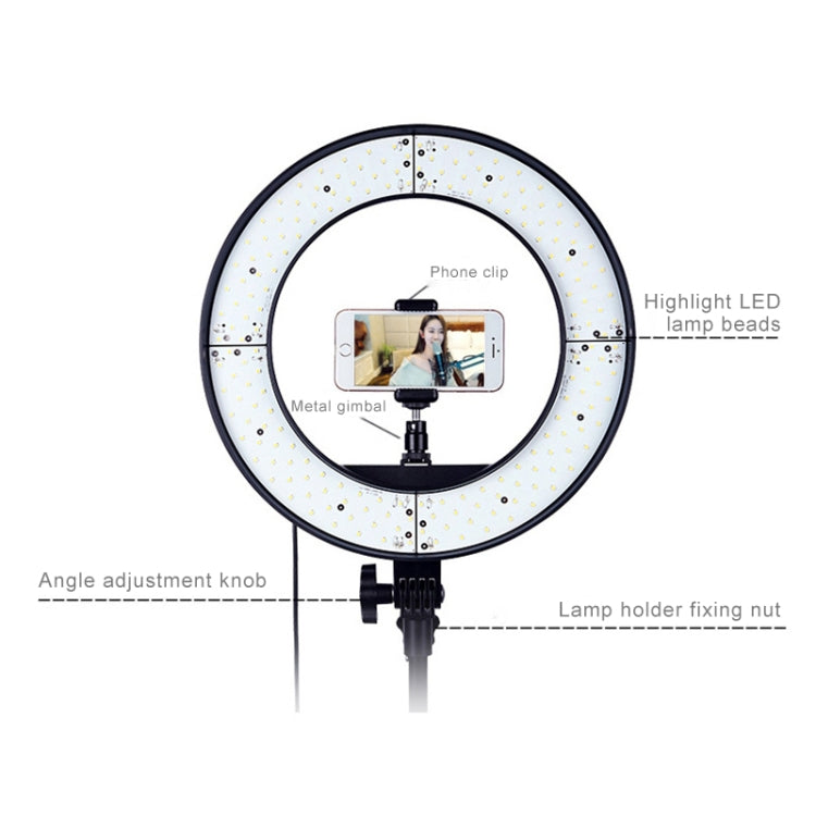 Luce di riempimento ad anello LED con autoscatto per fotografia di ancoraggio da 12 pollici, 12 Inch