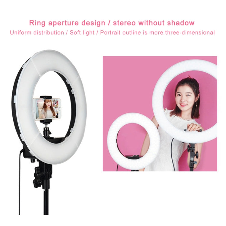 Luce di riempimento ad anello LED con autoscatto per fotografia di ancoraggio da 12 pollici, 12 Inch