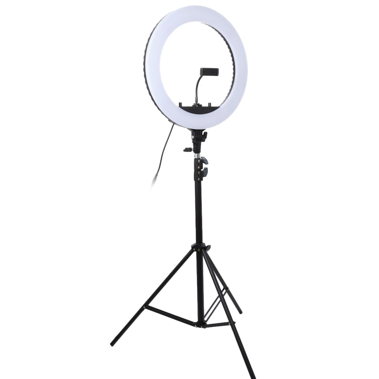 Luce di riempimento ad anello LED con autoscatto per fotografia di ancoraggio dimmerabile a due velocità da 18 pollici 55 W con treppiede, 18 Inch