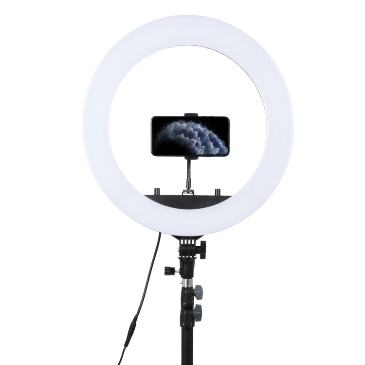 18 Inch 55W Dual Speed ​​Dimmable Self-timer LED Ring Fill Light for Shooting Photography with Tripod Stand, 18 Inch