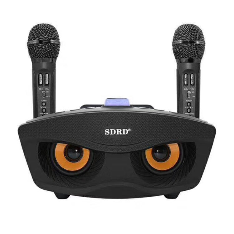 Microfono wireless doppio SD-306 con altoparlante Bluetooth