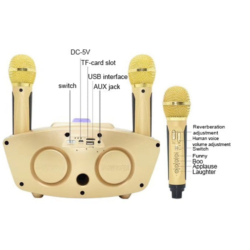 SD-306 Doppio microfono live wireless portatile KTV familiare 2 in 1 + altoparlante Bluetooth, SD-306(Black), SD-306(Pink), SD-306(Gold)