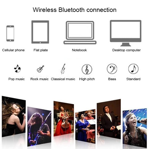 Microfono wireless doppio SD-306 con altoparlante Bluetooth