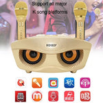 Microfono wireless doppio SD-306 con altoparlante Bluetooth