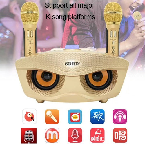 Microfono wireless doppio SD-306 con altoparlante Bluetooth