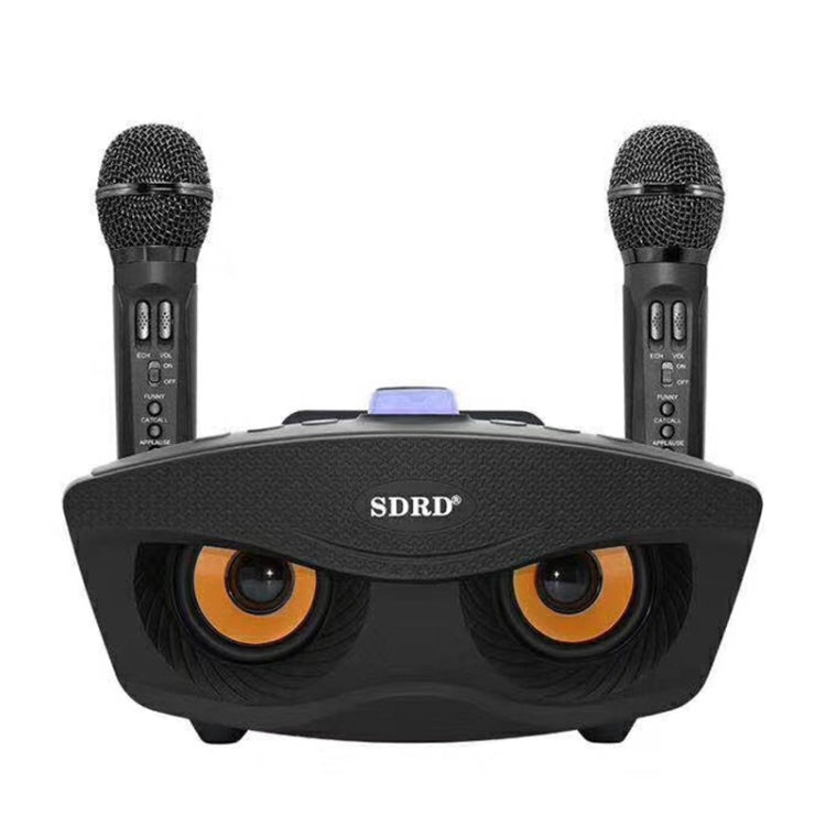 Microfono wireless doppio SD-306 con altoparlante Bluetooth
