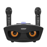 Microfono wireless doppio SD-306 con altoparlante Bluetooth