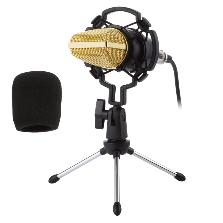 Microfono a condensatore USB BM-700 con cappuccio antivento