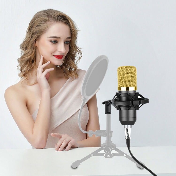 Microfono a condensatore USB BM-700 con cappuccio antivento