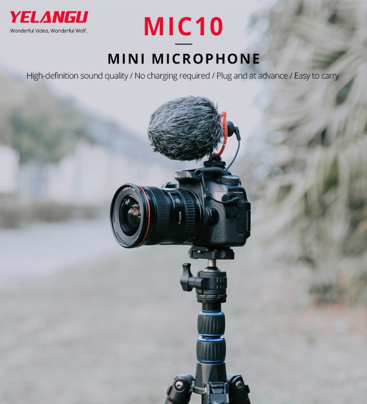 YELANGU MIC10 YLG9920A Microfono professionale per video shotgun a condensatore per interviste con cavo audio da 3,5 mm per videocamera DSLR e DV, Microphone