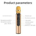 Microfono Karaoke Bluetooth 5.0 Wireless con Audio Stereo
