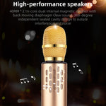 Microfono Karaoke Bluetooth 5.0 Wireless con Audio Stereo