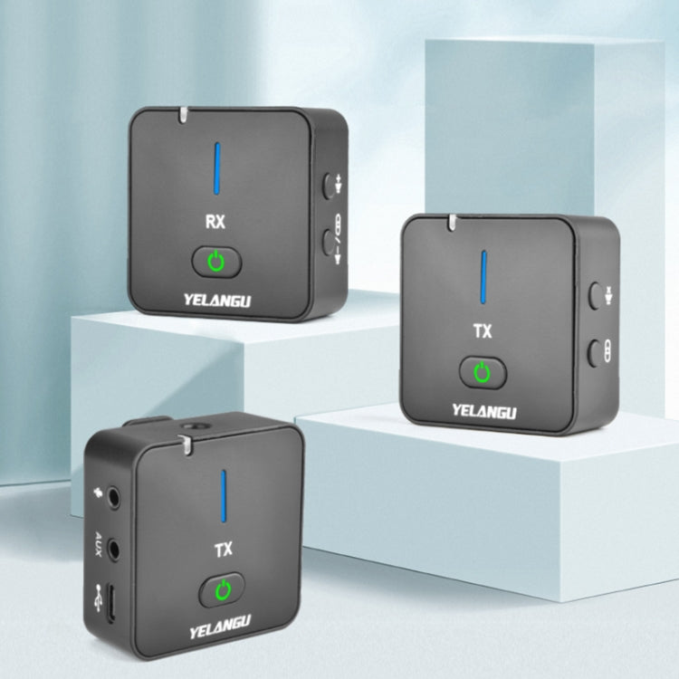 Sistema microfonico wireless YELANGU MX5S doppio canale 2,4 GHz