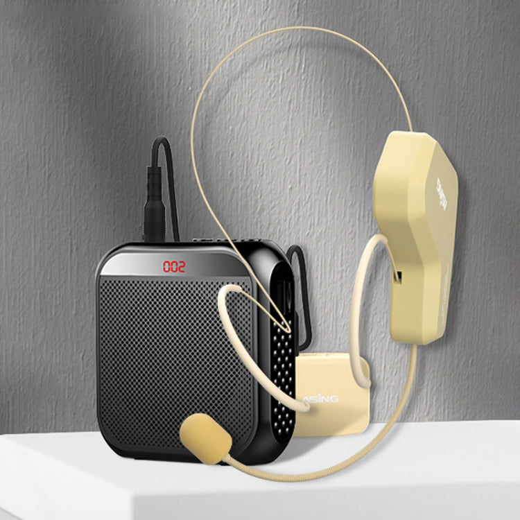 Kit altoparlante Bluetooth wireless con microfono 2.4G