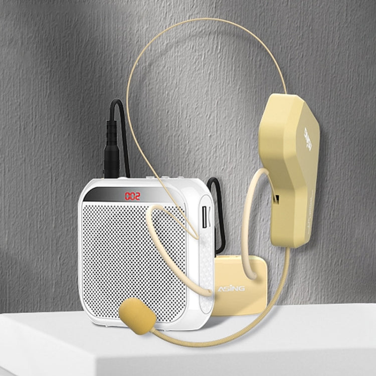 Kit altoparlante Bluetooth wireless con microfono 2.4G