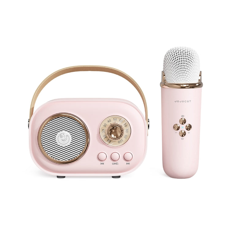 Altoparlante Bluetooth Karaoke C20 Plus con microfono