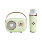 Altoparlante Bluetooth Karaoke C20 Plus con microfono