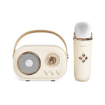 Altoparlante Bluetooth Karaoke C20 Plus con microfono