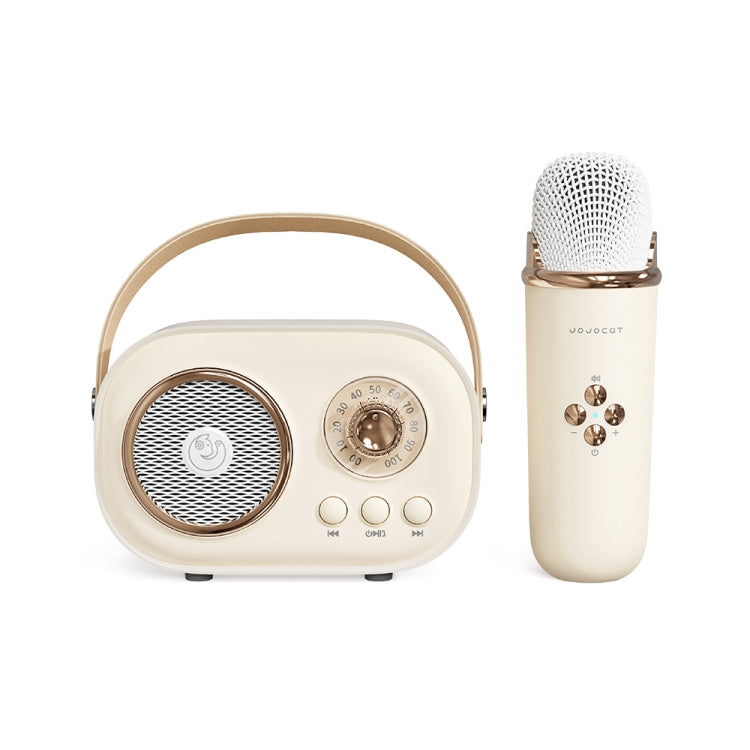 Altoparlante Bluetooth Karaoke C20 Plus con microfono