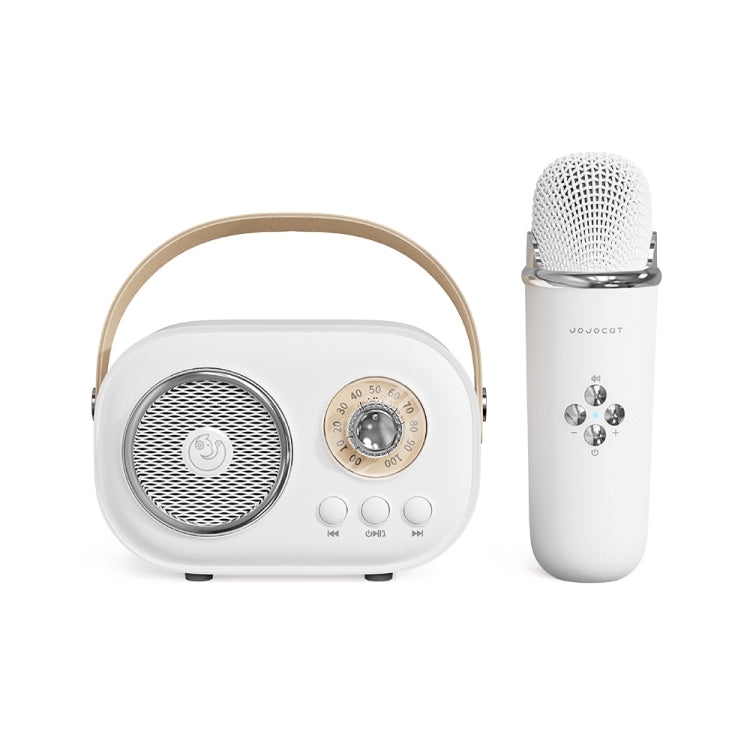 Altoparlante Bluetooth Karaoke C20 Plus con microfono