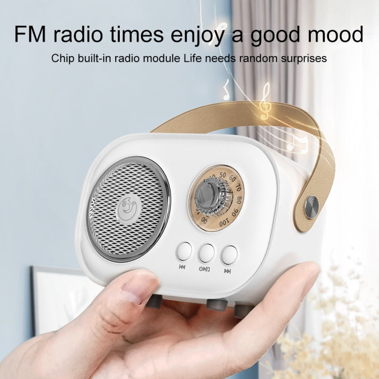 Altoparlante Bluetooth Karaoke C20 Plus con microfono