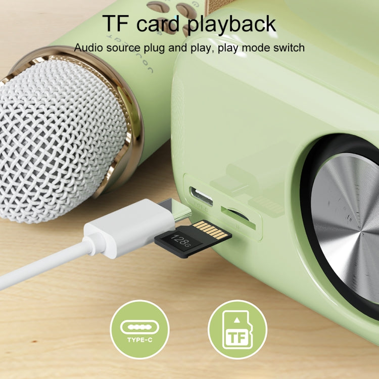 Altoparlante Bluetooth Karaoke C20 Plus con microfono