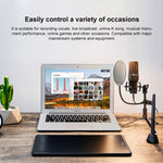 Microfono a condensatore Yanmai X1 con supporto e cavo USB-C