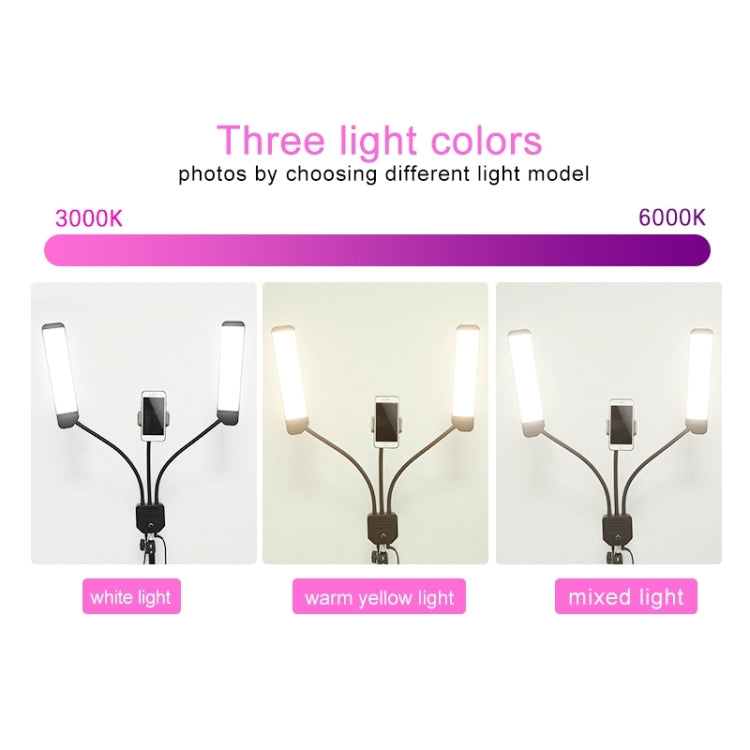 RK39 Portable Tri-color Adjustable Brightness Double Arm Fill Light with Phone Clip