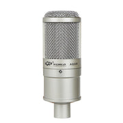 AQ-220K Noise Reduction Condenser Microphone for Live Song Recording