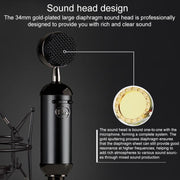 Logitech Blue Spark SL Network K Song Anchor Equipment Condenser Recording Microphone, Blue Spark SL