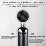 Microfono a condensatore Blue Spark SL per registrazione