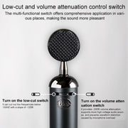 Logitech Blue Spark SL Network K Song Anchor Equipment Condenser Recording Microphone, Blue Spark SL