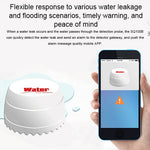Rilevatore perdite acqua DY-SQ100B con due sensori
