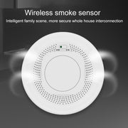Allarme di monitoraggio del fumo intelligente wireless Zigbee Graffiti, Zigbee Graffiti