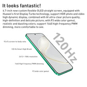Doppia fotocamera posteriore, identificazione dell'impronta digitale dello schermo, 6,7 pollici HarmonyOS Qualcomm Snapdragon 778G 4G Octa Core fino a 2,4 GHz, rete: 4G, OTG, NFC, non supporta Google Play, nova 11 128GB
