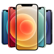 Apple iPhone 12 1 64GB Sbloccato Mix Colori Usato Grado A, iPhone 12 64GB